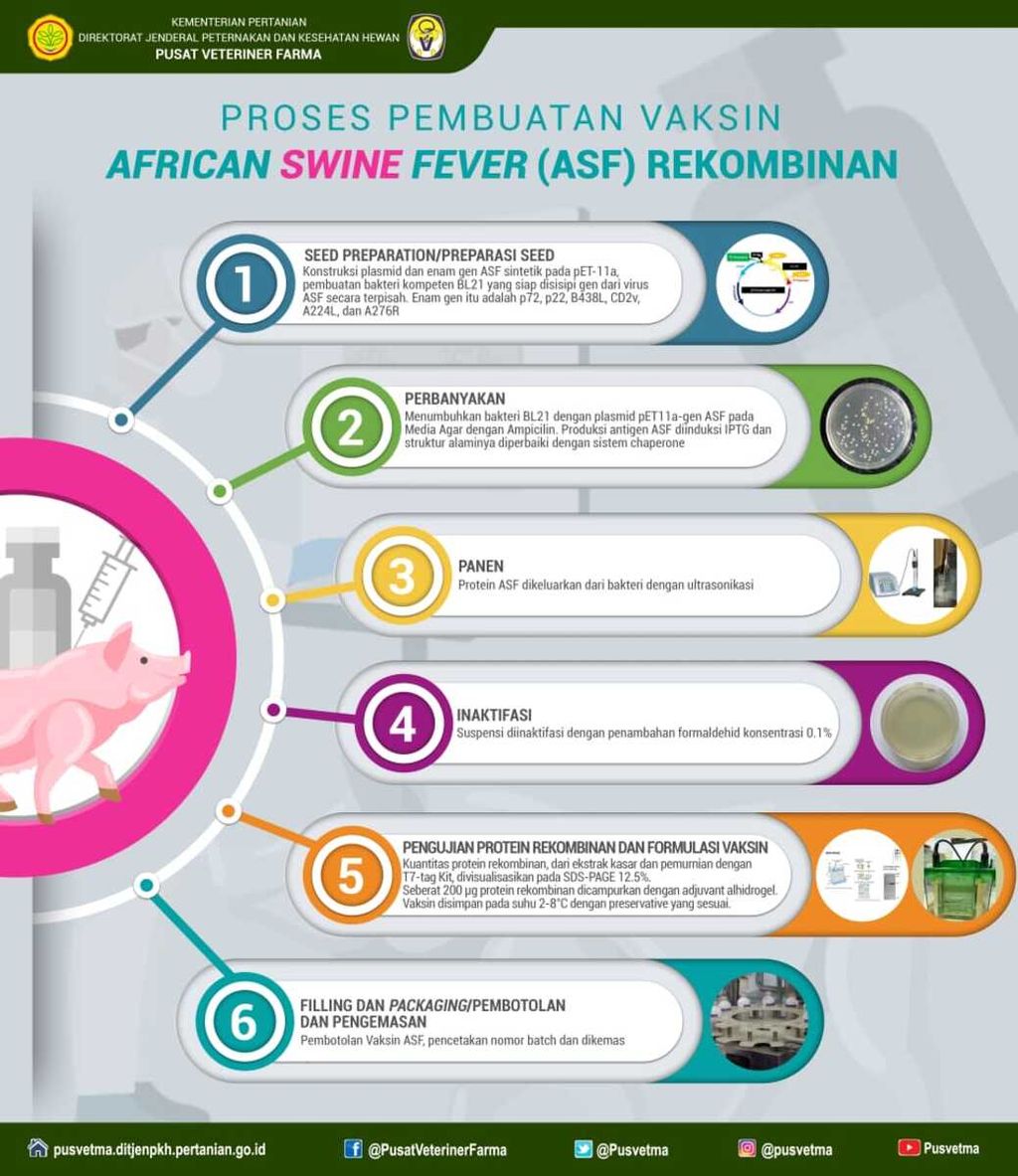 https://assetd.kompas.id/FwWypBlqDcdVLmmFSzM4x7Xq5GU=/1024x1183/https%3A%2F%2Fkompas.id%2Fwp-content%2Fuploads%2F2020%2F01%2Ff6ff8f01-dff6-424d-b925-32623a0799a0_jpg.jpg