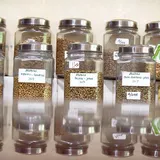 Kedai Kopi Tumbuh Bersama Petani