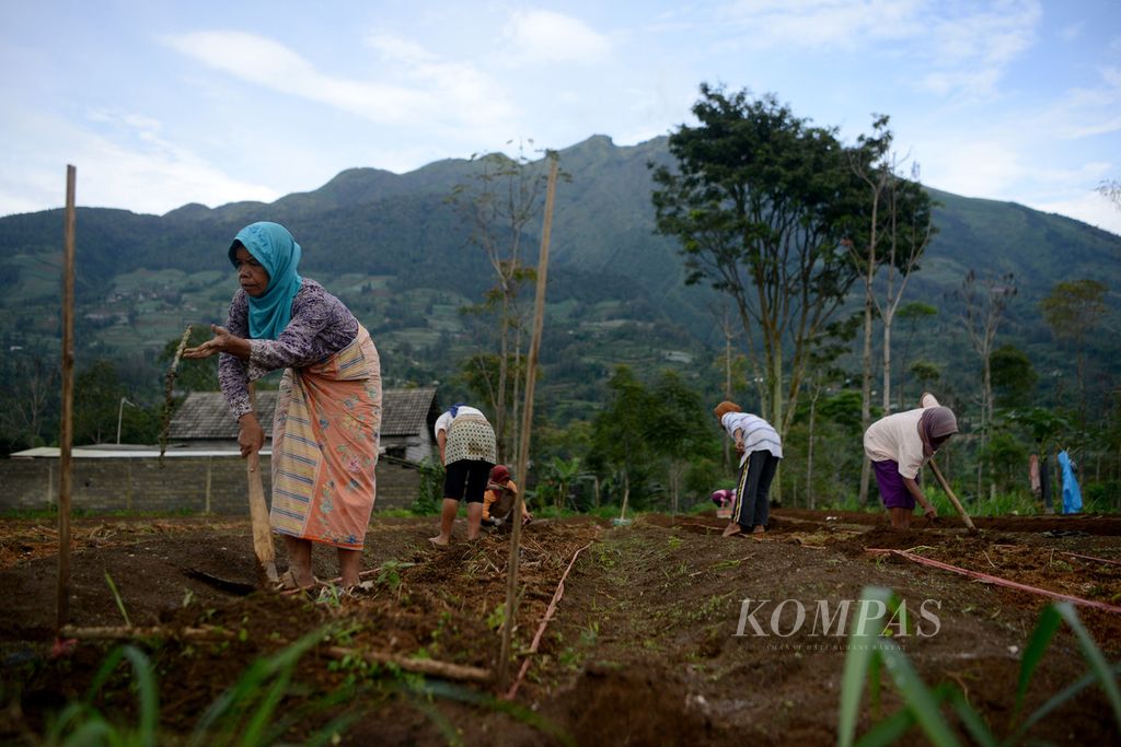 https://assetd.kompas.id/Hbmc4EFX9vG-onEdrxnLB5opWYc=/1024x683/filters:watermark(https://cdn-content.kompas.id/umum/kompas_main_logo.png,-16p,-13p,0)/https%3A%2F%2Fkompas.id%2Fwp-content%2Fuploads%2F2021%2F02%2F8c0b4eda-9d1f-448d-94b6-d57f694fe10f_jpg.jpg