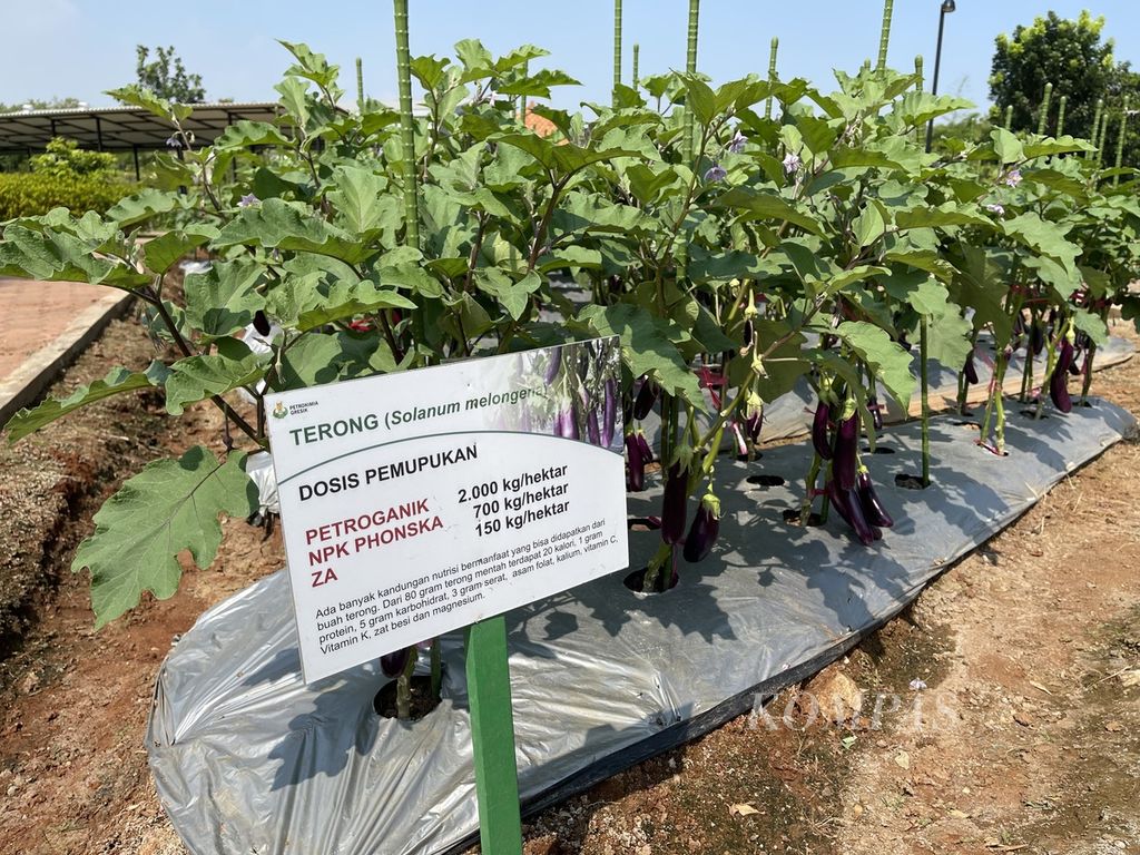 https://assetd.kompas.id/IBNXA7RCNWnuJx0cQwqmlGtjQKk=/1024x768/filters:watermark(https://cdn-content.kompas.id/umum/kompas_main_logo.png,-16p,-13p,0)/https%3A%2F%2Fkompas.id%2Fwp-content%2Fuploads%2F2021%2F08%2F4dcb96d8-a094-4e49-8784-35cb8c3c7120_jpg.jpg