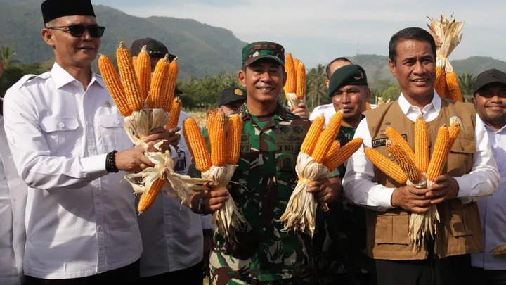 Teluku untuk artikel Respons UU Baru, TNI Tarik Prajurit Aktif di Luar 15 Kementerian dan Lembaga