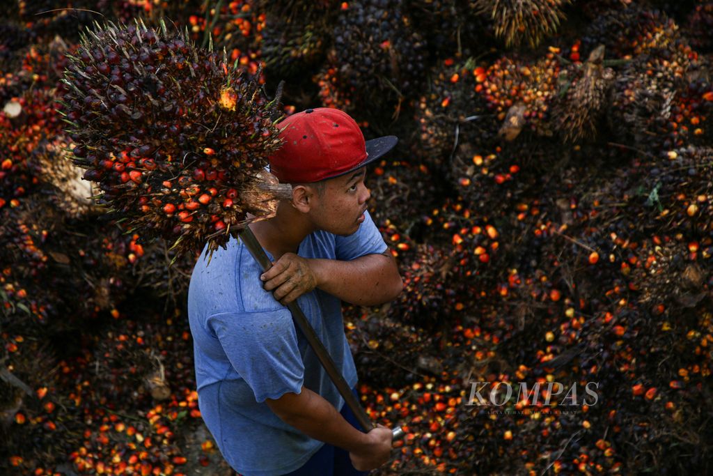 https://assetd.kompas.id/J3qHIntA11ng9vR8I1Ib9y46Tyw=/1024x683/filters:watermark(https://cdn-content.kompas.id/umum/kompas_main_logo.png,-16p,-13p,0)/https%3A%2F%2Fkompas.id%2Fwp-content%2Fuploads%2F2021%2F03%2Fb04c90c6-2153-46b9-ac5c-7a6aec8c297d_jpg.jpg