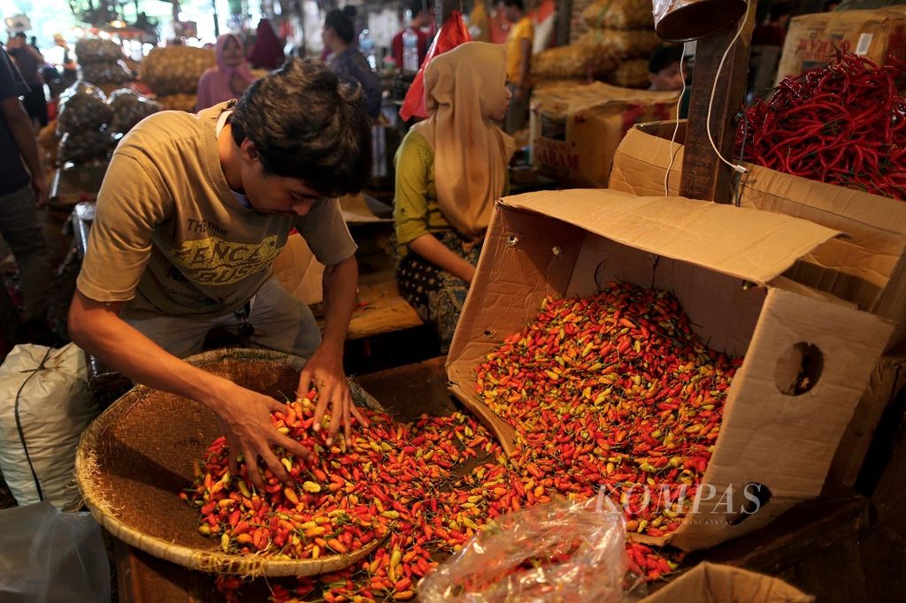 Pedagang memilah cabai rawit yang baru datang di Pasar Induk Kramatjati, Jakarta, Minggu (27/12/2020). Sudah sejak awal bulan Desember harga cabai merah beranjak naik. Mulai dari kisaran Rp 30 ribu hingga saat ini mencapai Rp 60 ribu perkilogram. Datangnya musim hujan dan tingginya permintaan saat Natal dan menjelang Tahun Baru 2021 menjadi pemicu naiknya komoditas ini.