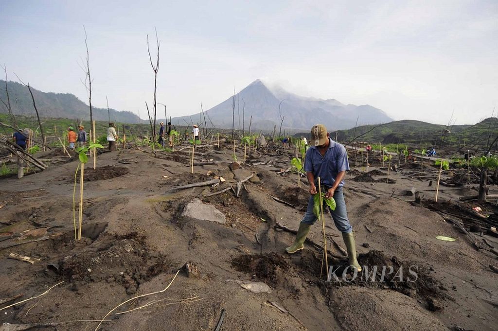 Warga menanam bibit pohon durian, sengon, dan jambu di Dusun Petung, Kepuharjo, Cangkringan, Sleman, DI Yogyakarta, Rabu (19/1/2011). Penghijauan terus digalakkan di kawasan lereng Gunung Merapi yang rusak akibat erupsi agar fungsinya sebagai daerah resapan air dapat berjalan normal kembali.