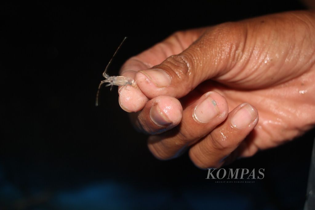 https://assetd.kompas.id/K0hkjQE2MfPNTqU2dfKlrmWIcBg=/1024x683/filters:watermark(https://cdn-content.kompas.id/umum/kompas_main_logo.png,-16p,-13p,0)/https%3A%2F%2Fkompas.id%2Fwp-content%2Fuploads%2F2019%2F06%2FIMG_0691_1561013643.jpg