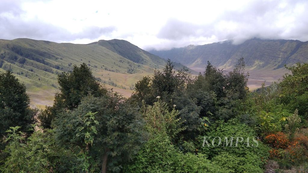 https://assetd.kompas.id/K8Gdl3vnoKiXSClOPAgDiMkr_hg=/1024x576/filters:watermark(https://cdn-content.kompas.id/umum/kompas_main_logo.png,-16p,-13p,0)/https%3A%2F%2Fkompas.id%2Fwp-content%2Fuploads%2F2020%2F09%2Fdc771ace-7f3b-4efe-8548-81b87452995c_jpg.jpg