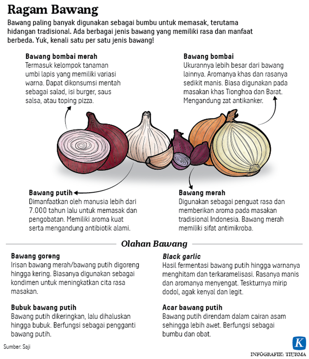 https://assetd.kompas.id/K9nTXKqiF_YgwPPhqDwWRFQ2WGA=/1024x1190/https%3A%2F%2Fasset.kgnewsroom.com%2Fphoto%2Fpre%2F2020%2F05%2F02%2F20200502-H13-TCJ-Ragam-Bawang-mumed_1588435565_png.png