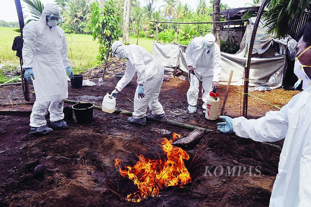 Sejumlah petugas dan pemilik peternakan, 6 Februari, memusnahkan ratusan itik di Korong Kampung Lintang, Nagari Sunur, Kecamatan Nan Sabaris, Kabupaten Padangpariaman, Sumatera Barat. Ratusan itik itu positif terinfeksi virus subtipe H5N1 pencetus flu burung (Avian Influenza/AI) dengan clade baru tipe 2.3.2 yang juga menyebabkan kematian itik lain di kawasan tersebut sejak Jumat lalu.
