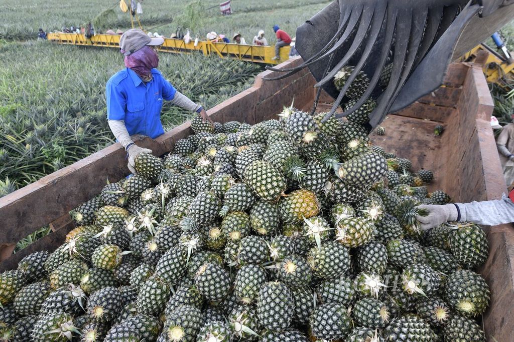 https://assetd.kompas.id/KaCUsi69T97BzxaW62GIdsteUUQ=/1024x683/filters:watermark(https://cdn-content.kompas.id/umum/kompas_main_logo.png,-16p,-13p,0)/https%3A%2F%2Fkompas.id%2Fwp-content%2Fuploads%2F2021%2F06%2Fa3ff4f90-fbde-44e0-a792-ebc440f07b32_jpg.jpg