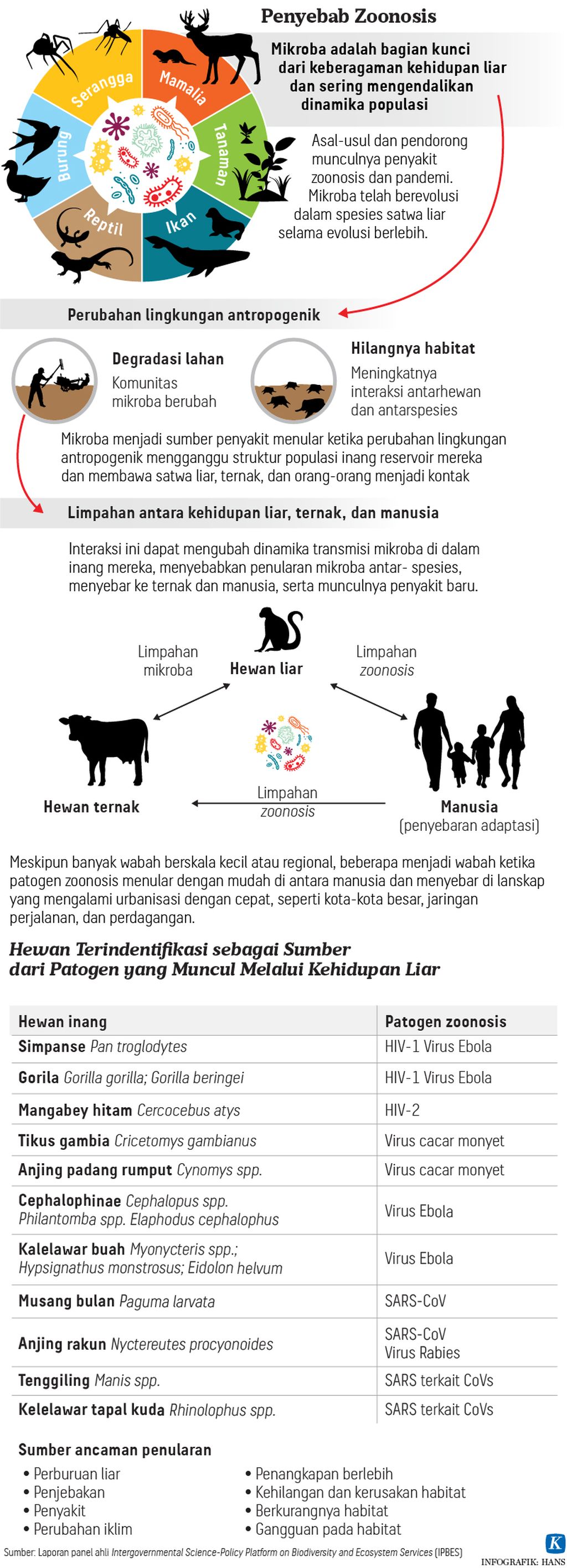 https://assetd.kompas.id/KjEK-ziP577tJSGoj54X-kwX5Qg=/1024x2831/https%3A%2F%2Fasset.kgnewsroom.com%2Fphoto%2Fpre%2F2020%2F11%2F02%2F20201102-HKT-Penyebab-Zoonosis-mumed-01_1604332770_jpg.jpg