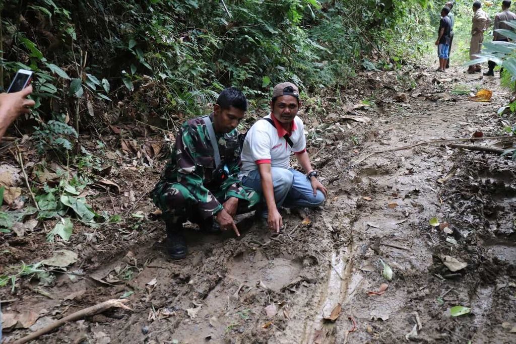 Anggota tim gabungan sejumlah instansi dan warga yang dikoordinasikan BKSDA Sumatera Barat menunjukkan jejak kaki gajah sumatera di Sijunjung, Sumatera Barat, Rabu (15/2/2023). Tim berupaya menelusuri dan memetakan pergerakan dua gajah yang muncul di Sijunjung yang sudah puluhan tahun tidak muncul di Sumbar.