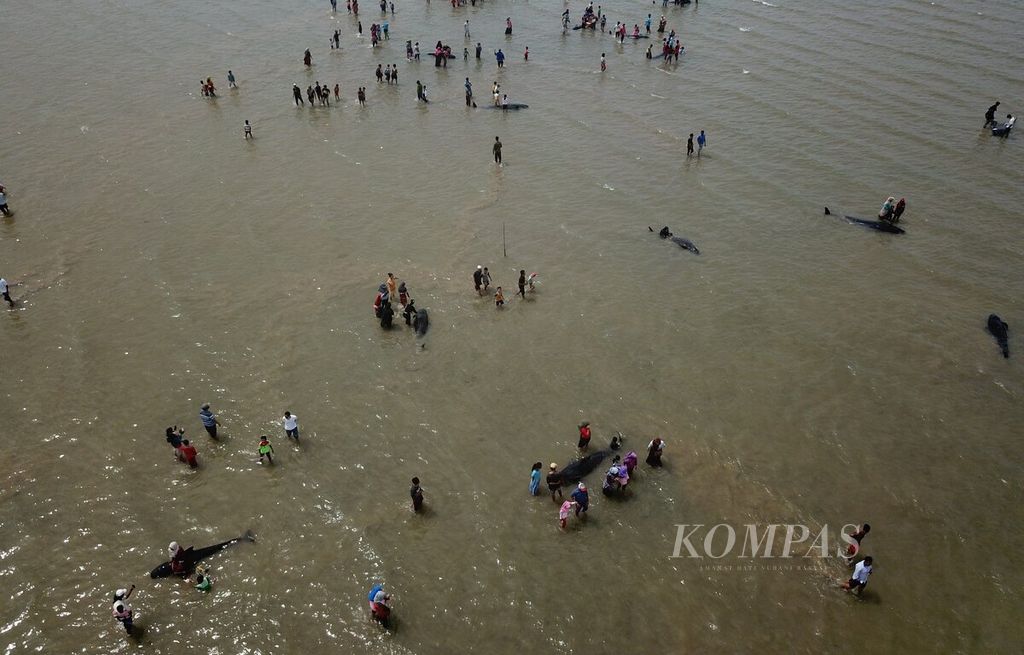 https://assetd.kompas.id/L_lVurAqmixJNi0_3Gq_6q0xmX0=/1024x655/filters:watermark(https://cdn-content.kompas.id/umum/kompas_main_logo.png,-16p,-13p,0)/https%3A%2F%2Fkompas.id%2Fwp-content%2Fuploads%2F2021%2F02%2Fece1b772-882a-4a61-84b6-80448bb6651d_jpg.jpg