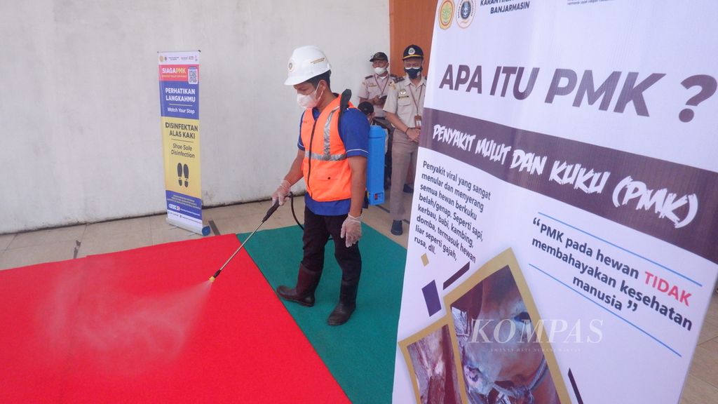 Petugas menyemprotkan cairan disinfektan pada karpet, yang dipasang di jalur kedatangan penumpang kapal di Terminal Penumpang Bandarmasih, Pelabuhan Trisakti, Banjarmasin, Kalimantan Selatan, Rabu (3/8/2022). Pemasangan karpet disinfektan bertujuan untuk mencegah penyebaran virus penyakit mulut dan kuku (PMK), yang kemungkinan menempel di alas kaki penumpang kapal.