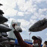 Kesibukan di Pelabuhan Muara Angke