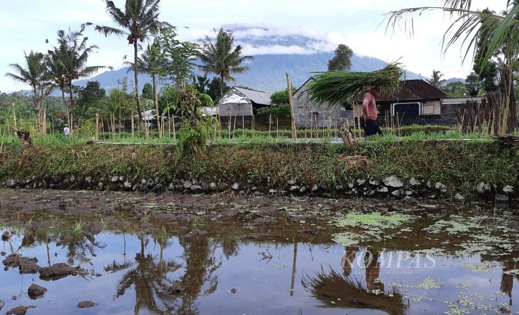 Aktivitas petani di Desa Selat, Kecamatan Selat, Kabupaten Karangasem, Bali, ketika didokumentasikan pada Senin (13/12/2021). Sistem tata kelola pertanian irigasi tradisional di Bali dikenal sebagai subak.