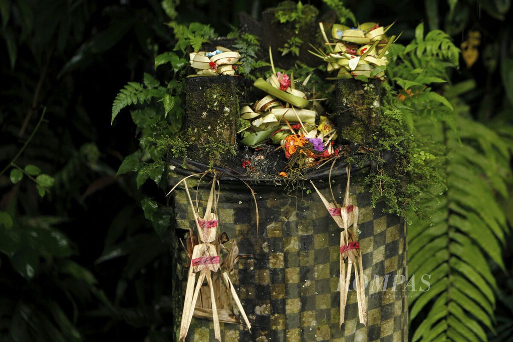 Sesaji di sudut Desa Mangesta, Penebel, Tabanan, Bali, Rabu (2/2/2011). 