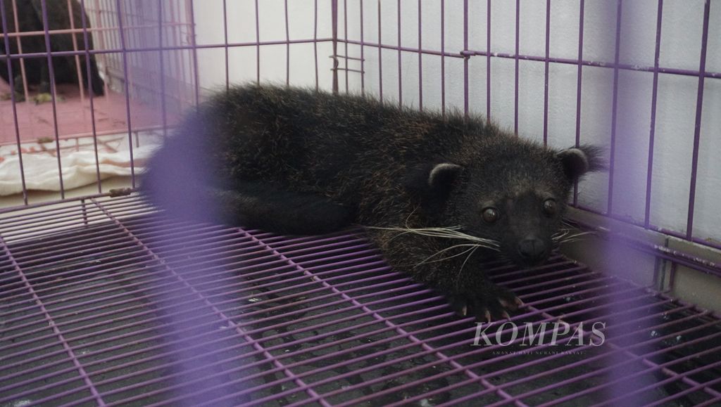 https://assetd.kompas.id/MTuWs1yO-PGHScszT7mjkbFFYoM=/1024x579/filters:watermark(https://cdn-content.kompas.id/umum/kompas_main_logo.png,-16p,-13p,0)/https%3A%2F%2Fkompas.id%2Fwp-content%2Fuploads%2F2021%2F04%2Fe309424f-ac0f-467f-8d7a-f573c739ca64_jpg.jpg