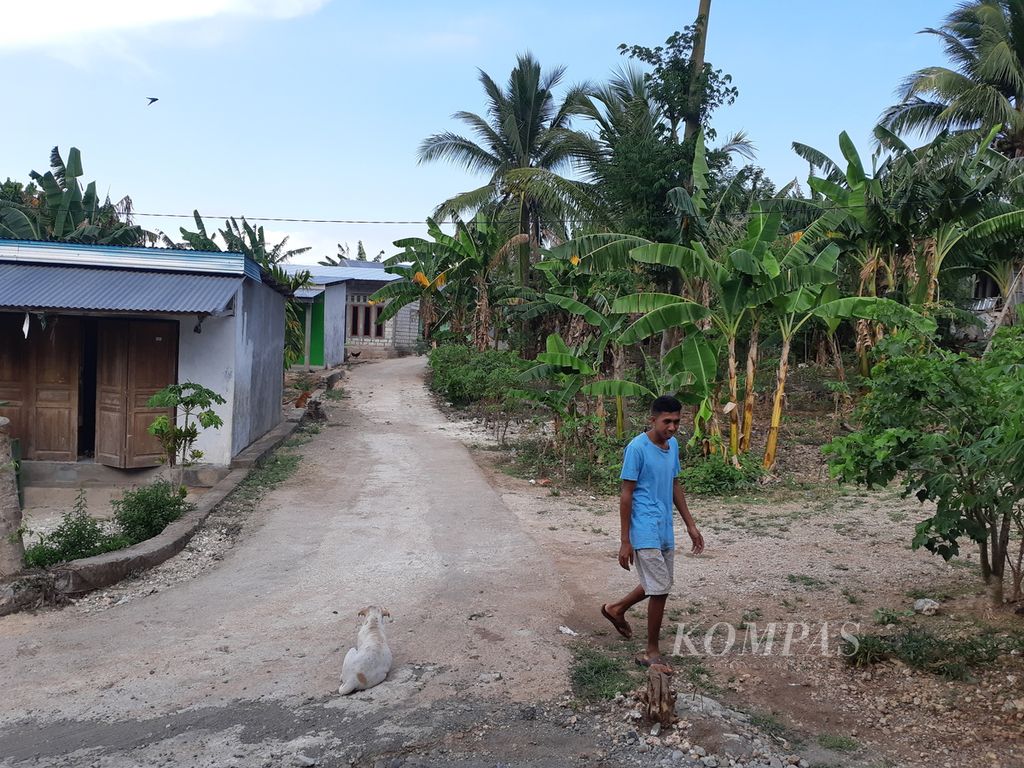 Hujan yang terjadi beberapa kali dalam dua pekan terakhir menghijaukan tanaman di Kota Kupang, Nusa Tenggara Timur seperti pada Jumat (14/10/2022). Pada tahun-tahun sebelumnya, bulan Oktober merupakan puncak musim kemarau.