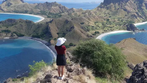 "Permaisuri" Komodo dari Puncak Padar