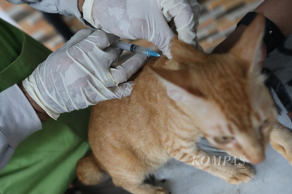 Petugas dari Pemerintah Kota Jakarta Pusat memberikan vaksinasi rabies gratis bagi warga di posko RW di Petojo Selatan, Jakarta Pusat, Senin (24/7/2023). 