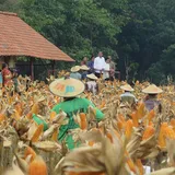 Guyuran Ratusan Ton Jagung Bersubsidi Turunkan Harga Pakan Ternak di Blitar