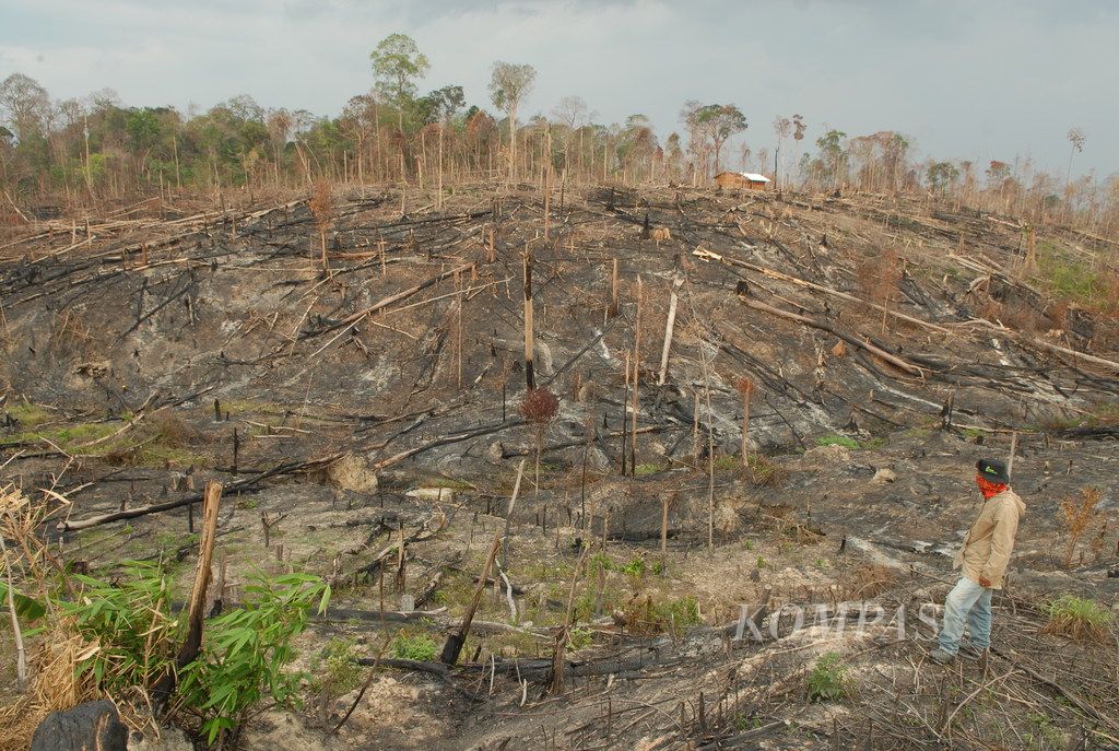 https://assetd.kompas.id/PFcSFCYAXJSQfr7Yp3yiHUow4uM=/1024x687/filters:watermark(https://cdn-content.kompas.id/umum/kompas_main_logo.png,-16p,-13p,0)/https%3A%2F%2Fkompas.id%2Fwp-content%2Fuploads%2F2019%2F10%2FAND_0650SILO.jpg