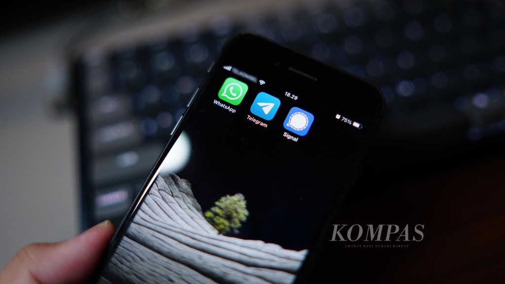 https://assetd.kompas.id/POU16FlQdwt27E_3spekq0Mp1gU=/1024x576/filters:watermark(https://cdn-content.kompas.id/umum/kompas_main_logo.png,-16p,-13p,0)/https%3A%2F%2Fkompas.id%2Fwp-content%2Fuploads%2F2021%2F01%2Fb430b416-9803-4e40-a9b4-7cb418ee348d_jpg.jpg