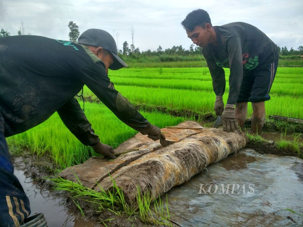https://assetd.kompas.id/PdwWRgvSlSJIvdY-TdnkBZCH7us=/1024x768/filters:watermark(https://cdn-content.kompas.id/umum/kompas_main_logo.png,-16p,-13p,0)/https%3A%2F%2Fkompas.id%2Fwp-content%2Fuploads%2F2019%2F02%2FIMG_20170201_130221_HDR_1549862811.jpg