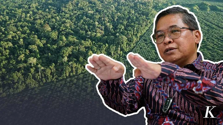 Wakil Menteri KLHK Buka Suara soal Hutan Papua
