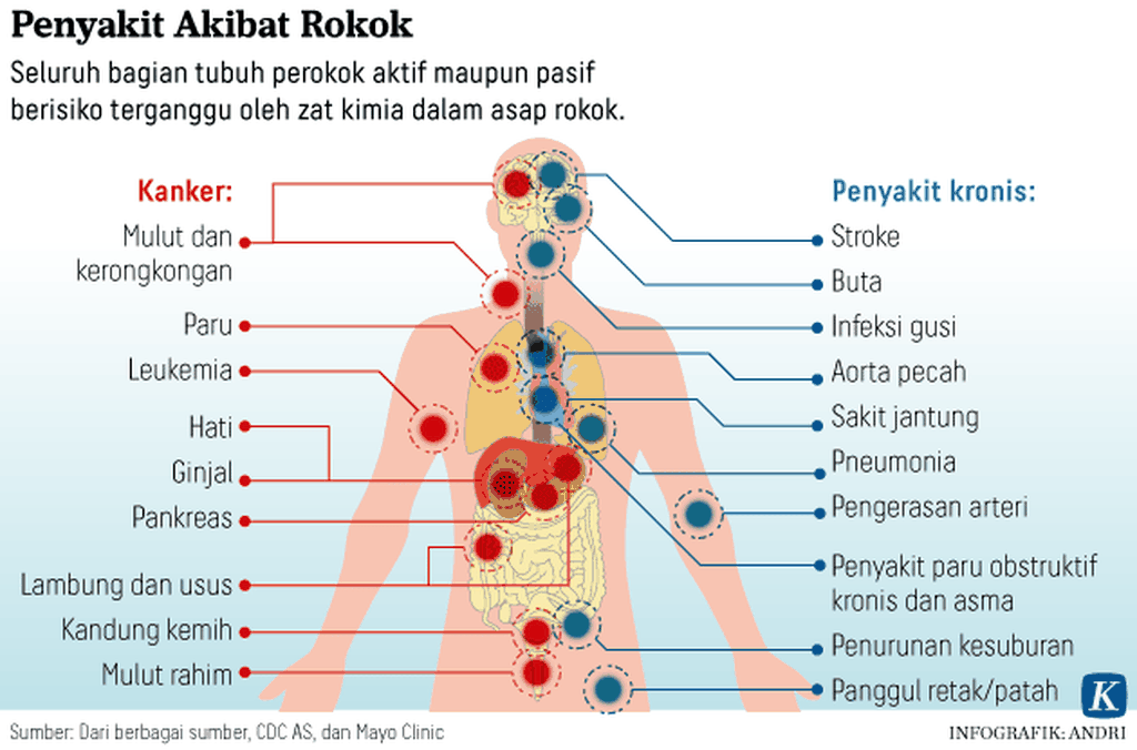 https://assetd.kompas.id/QET4DpcdefP-P6jGJXY-RYfrow8=/1024x676/https%3A%2F%2Fasset.kgnewsroom.com%2Fphoto%2Fpre%2F2020%2F05%2F31%2F20200531-ARS-Penyakit-Rokok-mumed_1590921663_png.png