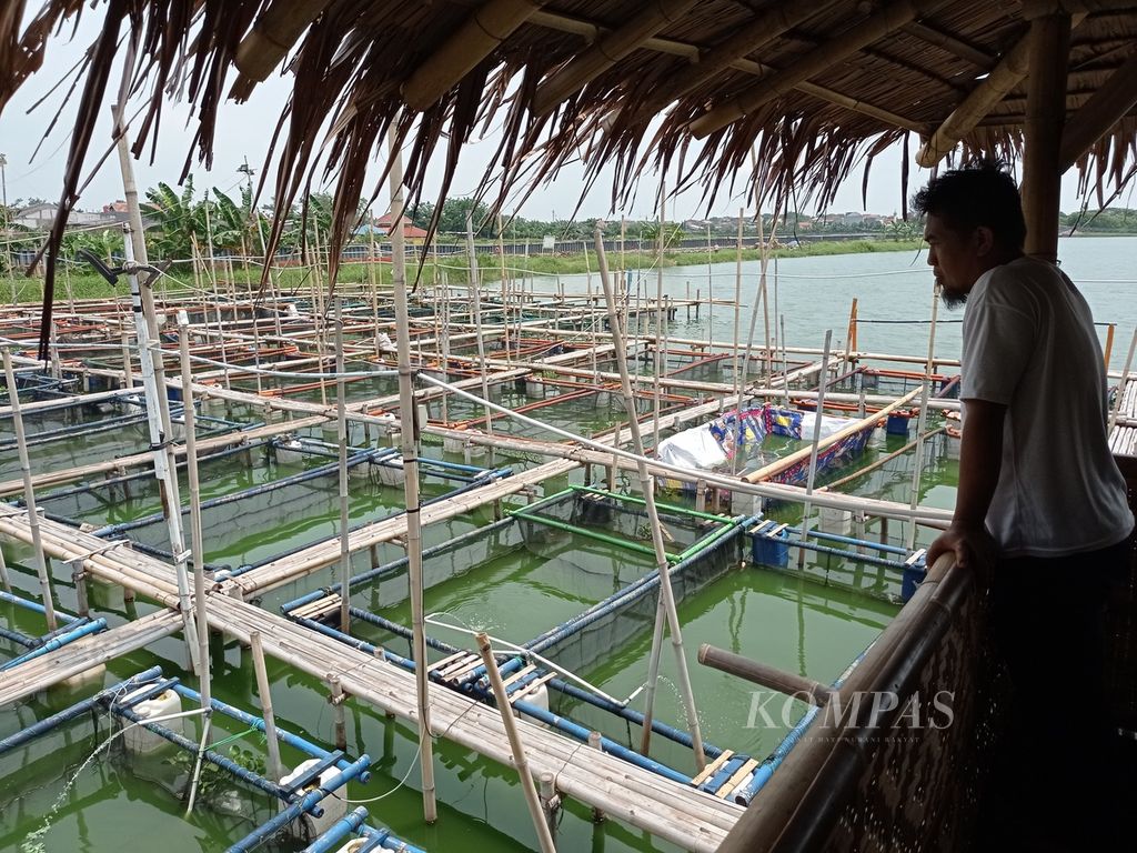 https://assetd.kompas.id/QGHcdXaYVO5vgZiPriLsJKYTi1s=/1024x768/filters:watermark(https://cdn-content.kompas.id/umum/kompas_main_logo.png,-16p,-13p,0)/https%3A%2F%2Fkompas.id%2Fwp-content%2Fuploads%2F2021%2F09%2Fd74a37c1-5cb0-4020-9ec6-4487def3a147_jpg.jpg