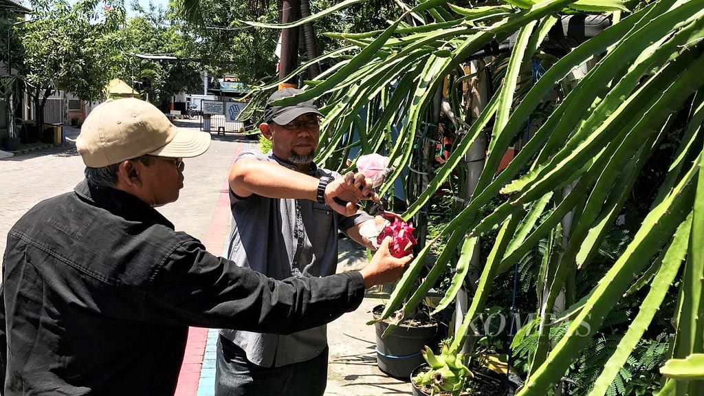 https://assetd.kompas.id/QQ_Qs-wfGNXpicmKMpsxuANjQHw=/1024x576/filters:watermark(https://cdn-content.kompas.id/umum/kompas_main_logo.png,-16p,-13p,0)/https%3A%2F%2Fkompas.id%2Fwp-content%2Fuploads%2F2019%2F07%2F81293034_1562514042.jpg