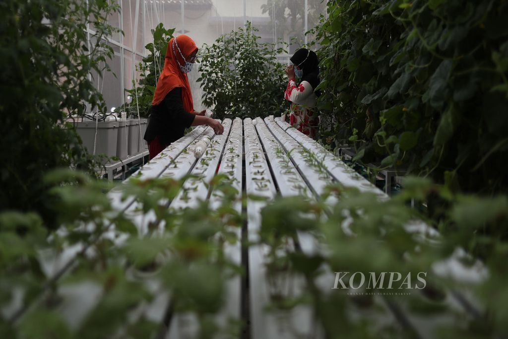 https://assetd.kompas.id/QT90em32yWL7ek_efJVn_Z3I67o=/1024x683/filters:watermark(https://cdn-content.kompas.id/umum/kompas_main_logo.png,-16p,-13p,0)/https%3A%2F%2Fkompas.id%2Fwp-content%2Fuploads%2F2021%2F02%2F3230268a-c490-44ce-8708-135f832da858_jpg.jpg
