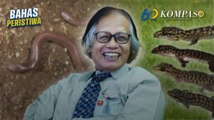 Jakob Oetama dan Pecel Madiun, Bukti Keanekaragaman Hayati Nusantara