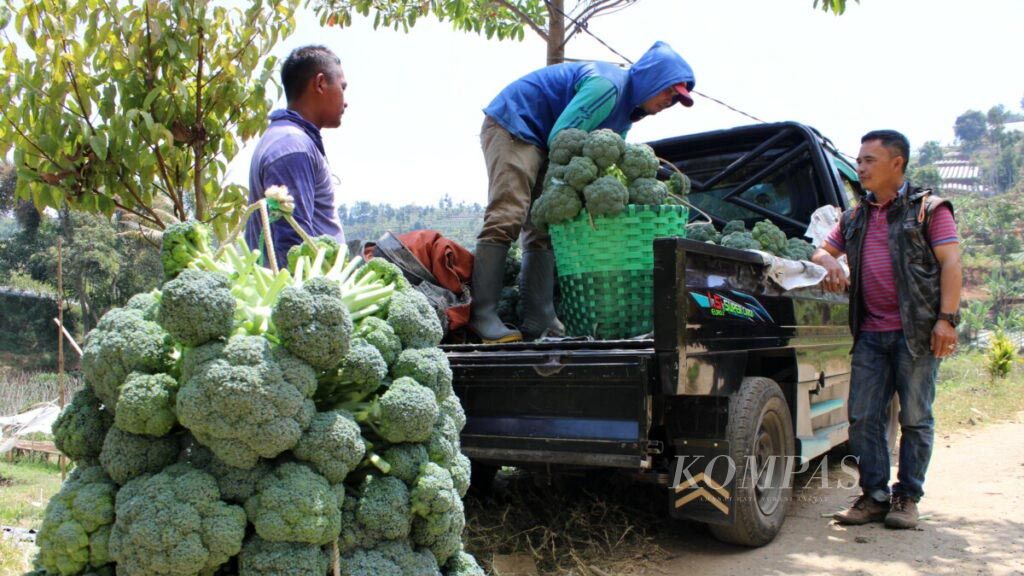 https://assetd.kompas.id/QxfVO1lFQgFgsG5zYy9m7OFYBFI=/1024x576/filters:watermark(https://cdn-content.kompas.id/umum/kompas_main_logo.png,-16p,-13p,0)/https%3A%2F%2Fkompas.id%2Fwp-content%2Fuploads%2F2019%2F09%2F20190903_ENGLISH-SERIAL-TEMATIS-DESA_D_web_1567517156.jpg