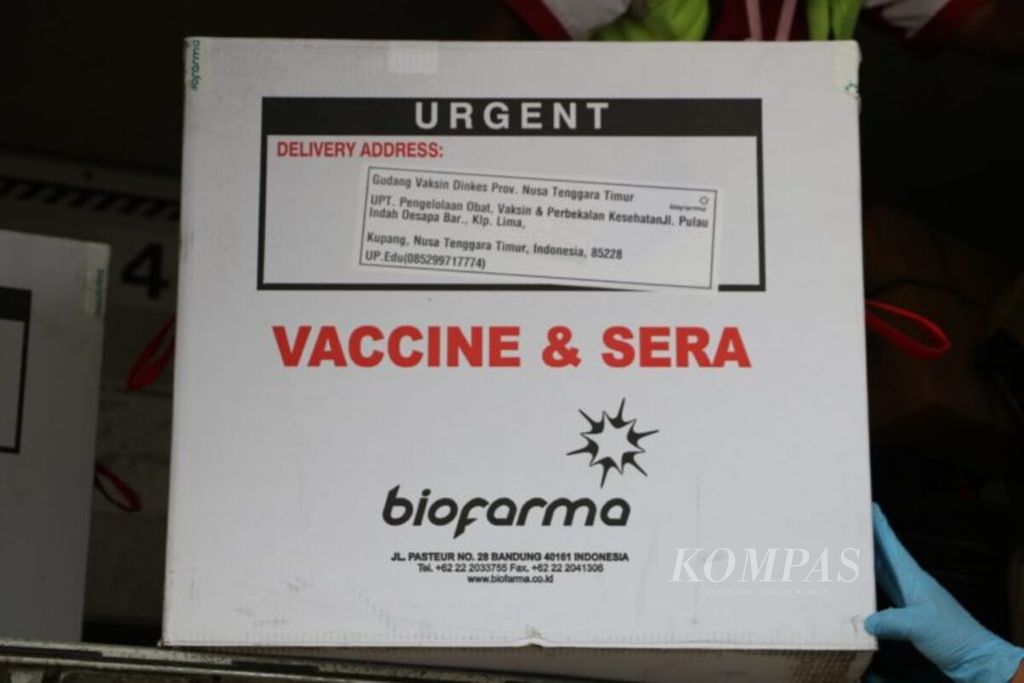 https://assetd.kompas.id/R3E65iKF9cXOXgcMwaWi035RG3U=/1024x683/filters:watermark(https://cdn-content.kompas.id/umum/kompas_main_logo.png,-16p,-13p,0)/https%3A%2F%2Fkompas.id%2Fwp-content%2Fuploads%2F2021%2F01%2Fa3459257-e6c7-43a6-a401-dc23238e387d_jpg.jpg