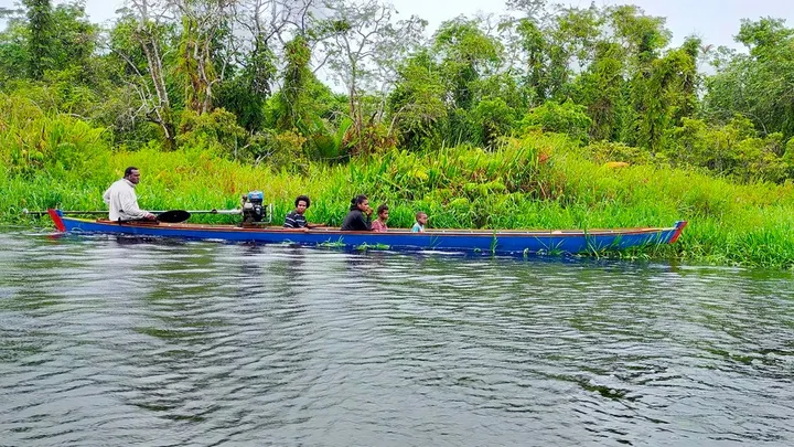 Teluku untuk artikel Pak Widodo Senang Bekerja di Asmat