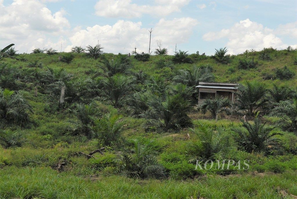 https://assetd.kompas.id/RsYXk_Oh46ekmM643mZIA63LDOI=/1024x685/filters:watermark(https://cdn-content.kompas.id/umum/kompas_main_logo.png,-16p,-13p,0)/https%3A%2F%2Fkompas.id%2Fwp-content%2Fuploads%2F2019%2F05%2FAND_0737SILO.jpg