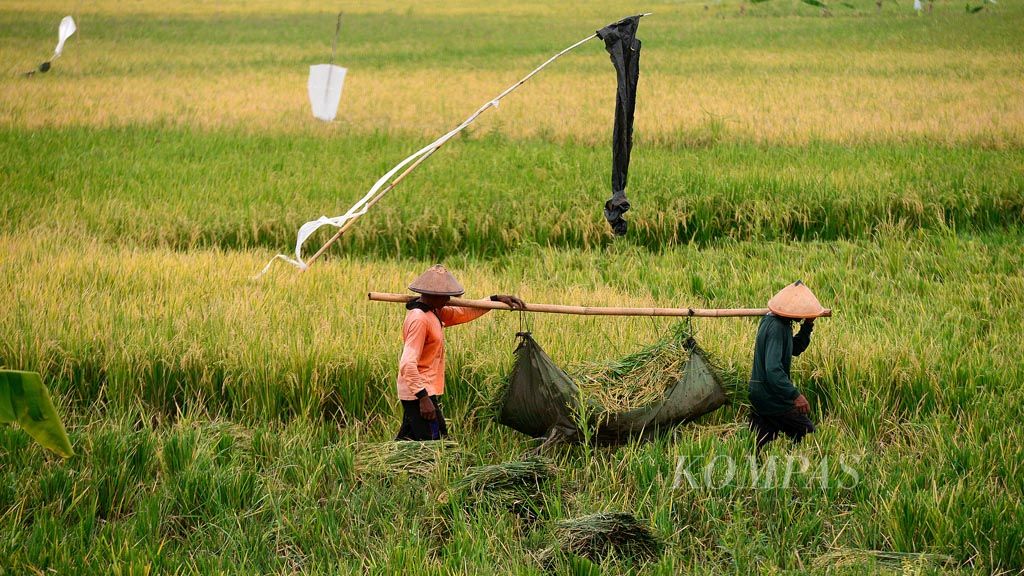 https://assetd.kompas.id/SAwuKY_d8L_tmJGjJ0SgJVngPlQ=/1024x576/filters:watermark(https://cdn-content.kompas.id/umum/kompas_main_logo.png,-16p,-13p,0)/https%3A%2F%2Fkompas.id%2Fwp-content%2Fuploads%2F2018%2F12%2F20181207_BURUH-TANI_C_web_1544182184.jpg