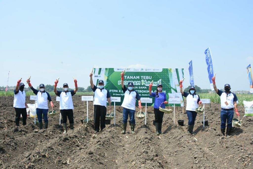 Tanam Perdana Tebu Program Makmur Sinergi Petrokimia Gresik dengan PT Perkebunan Nusantara (PTPN) di Desa Desa Ngingasrembyong, Kecamatan Sooko, Kabupaten Mojokerto, Jawa Timur, Rabu (8/9/2021).