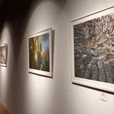 Memuliakan Bambu Melalui Bidikan Lensa