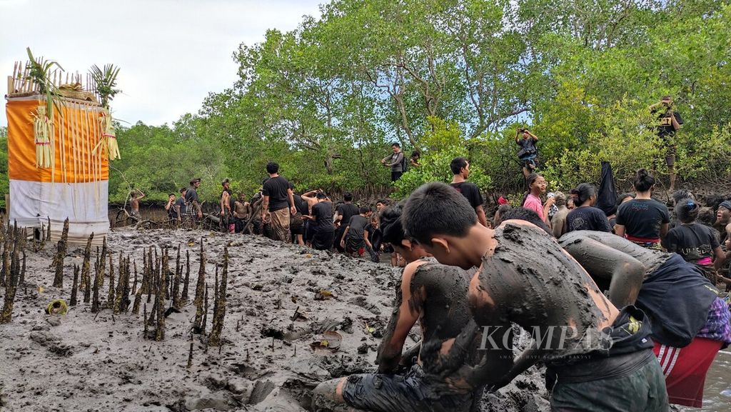 <i>Krama</i> (warga) dan <i>yowana </i>(pemuda dan pemudi) Desa Adat Kedonganan, Kedonganan, Kuta, Kabupaten Badung, saling membalurkan lumpur hutan bakau ketika mengikuti tradisi <i>mabuug-buugan </i>di tengah hutan mangrove Taman Hutan Raya Ngurah Rai, Kamis (23/3/2023).