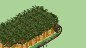 Social Security for Employment and Sustainable Palm Oil

