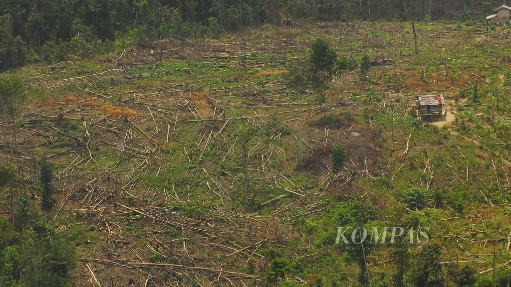 https://assetd.kompas.id/UBCTv2GNCnYm25VGDUMxb9QVSMA=/1024x576/filters:watermark(https://cdn-content.kompas.id/umum/kompas_main_logo.png,-16p,-13p,0)/https%3A%2F%2Fkompas.id%2Fwp-content%2Fuploads%2F2019%2F07%2F20180222_KEBAKARAN-HUTAN_A_web.jpg