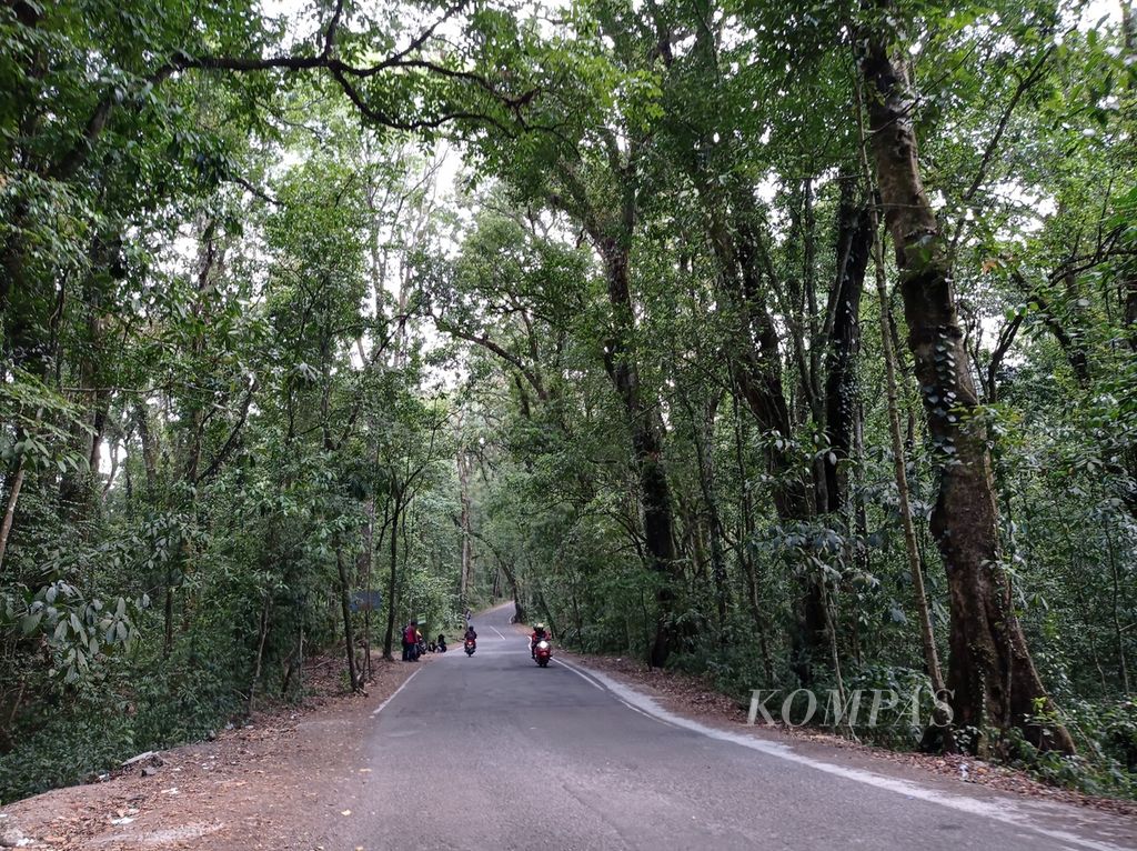 https://assetd.kompas.id/UOsmjbbij0UmJP69uUCMCCmIdoU=/1024x766/filters:watermark(https://cdn-content.kompas.id/umum/kompas_main_logo.png,-16p,-13p,0)/https%3A%2F%2Fkompas.id%2Fwp-content%2Fuploads%2F2020%2F10%2Fd6f008f2-9f64-4b83-92bb-4442521711e2_jpg.jpg