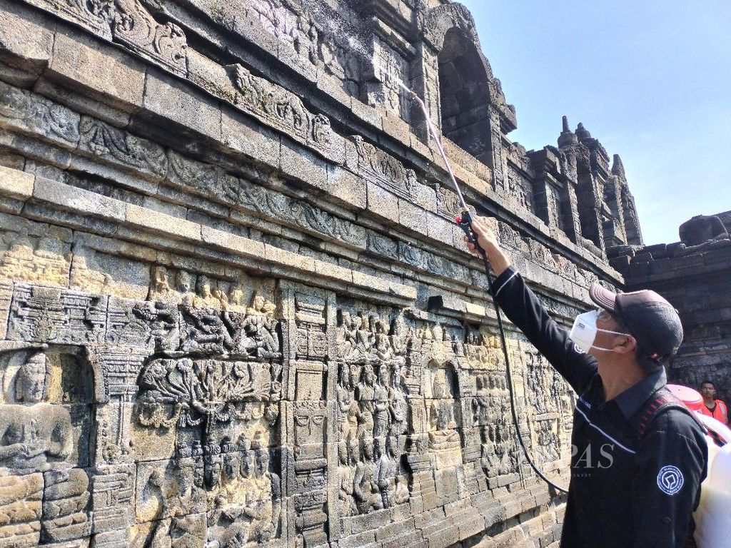 Seorang petugas menyemprotkan minyak atsiri untuk membersihkan jamur dan lumut yang melekat pada batuan Candi Borobudur, Selasa (21/6/2022),