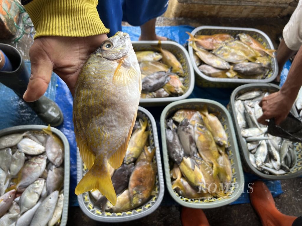 https://assetd.kompas.id/Vbxf7njwJly40g8z1gAPo7QeGLM=/1024x768/filters:watermark(https://cdn-content.kompas.id/umum/kompas_main_logo.png,-16p,-13p,0)/https%3A%2F%2Fkompas.id%2Fwp-content%2Fuploads%2F2022%2F01%2F0D55B28E-FF36-48B7-8F6A-60500E4D5D26_1642071986.jpeg