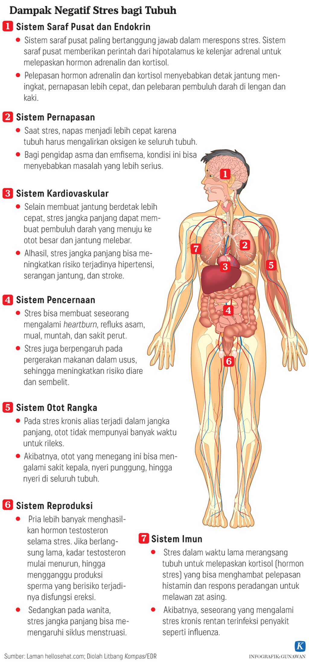 https://assetd.kompas.id/Vdj85qld7mIJTieMkIUf66rzapM=/1024x2200/https%3A%2F%2Fasset.kgnewsroom.com%2Fphoto%2Fpre%2F2021%2F04%2F12%2F20210412-GKT-Dampak-Negatif-Stres-Bagi-Tubuh-mumed_1618217321_png.png