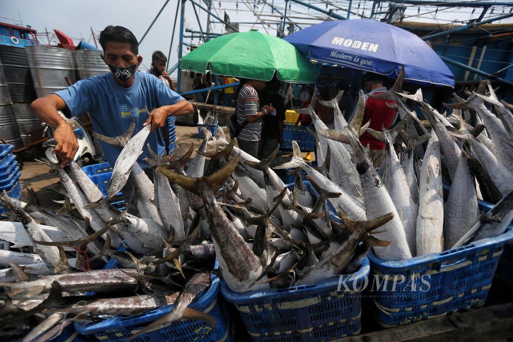 https://assetd.kompas.id/XDaL6iG8p7Z9OytVq3rHf868uGc=/1024x683/filters:watermark(https://cdn-content.kompas.id/umum/kompas_main_logo.png,-16p,-13p,0)/https%3A%2F%2Fkompas.id%2Fwp-content%2Fuploads%2F2020%2F10%2F21d2b014-7e17-472f-a03a-6486b2b4592b_jpg.jpg