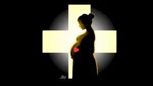 Smart Investment in Midwives